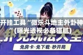 辅助开挂工具“微乐斗地主外卦神器”(曝光透视必备猫腻)