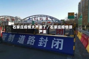 石家庄疫情太严重了／石家庄疫情很严重