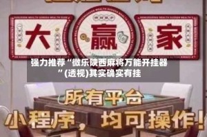 强力推荐“微乐陕西麻将万能开挂器”(透视)其实确实有挂