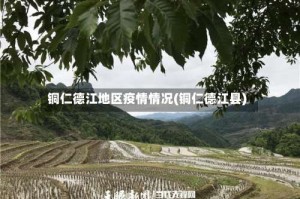 铜仁德江地区疫情情况(铜仁德江县)