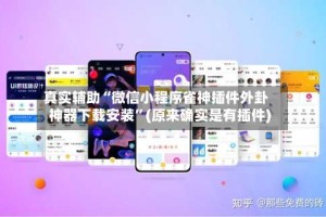 真实辅助“微信小程序雀神插件外卦神器下载安装”(原来确实是有插件)