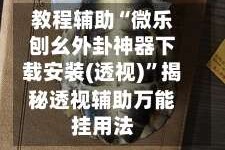 教程辅助“微乐刨幺外卦神器下载安装(透视)”揭秘透视辅助万能挂用法
