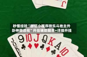 秒懂经验“微信小程序微乐斗地主外卦神器透视”开挂辅助脚本+详细开挂