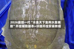 2026最新一代“水鱼天下金州水鱼辅助”开挂辅助脚本+详细开挂安装教程
