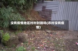 没有疫情地区村村封路吗(农村没有疫情)