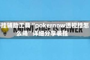 开挂辅助工具“pokernow透视挂怎么用”详细分享装挂