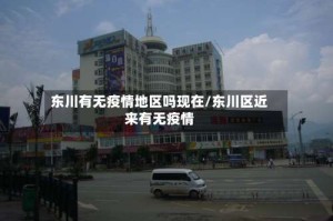 东川有无疫情地区吗现在/东川区近来有无疫情