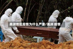 美洲地区疫情为什么严重/美洲 疫情