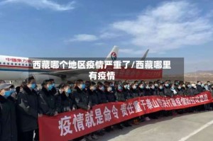 西藏哪个地区疫情严重了/西藏哪里有疫情