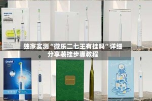 独家实测“微乐二七王有挂吗”详细分享装挂步骤教程