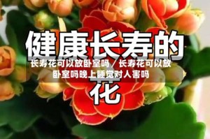长寿花可以放卧室吗／长寿花可以放卧室吗晚上睡觉对人害吗