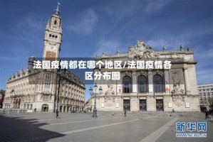 法国疫情都在哪个地区/法国疫情各区分布图
