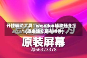 开挂辅助工具“wepoker辅助器介绍”(原来确实是有插件)