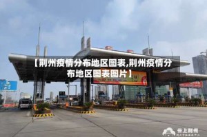 【荆州疫情分布地区图表,荆州疫情分布地区图表图片】
