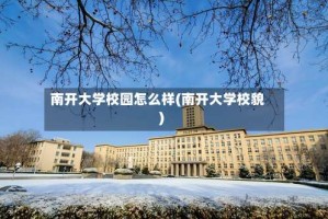 南开大学校园怎么样(南开大学校貌)
