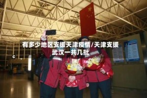 有多少地区支援天津疫情/天津支援武汉一共几批