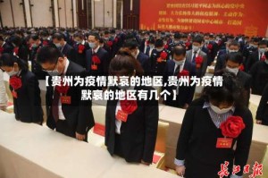 【贵州为疫情默哀的地区,贵州为疫情默哀的地区有几个】