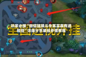 玩家必搜“微信链接斗牛其实真有透视挂”详细分享装挂步骤教程