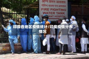 印度各地区疫情统计/印度疫情分布情况