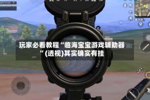 玩家必看教程“临海宝宝游戏辅助器”(透视)其实确实有挂