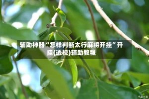 辅助神器“怎样判断太行麻将开挂”开挂(透视)辅助教程