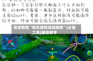指定教程“微乐游戏透视辅助”(必备工具)辅助教学