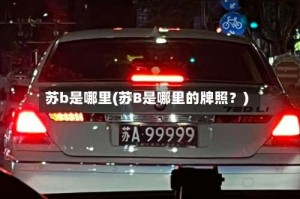 苏b是哪里(苏B是哪里的牌照？)
