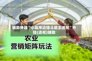 辅助神器“小程序边锋斗地主透视”开挂(透视)辅助