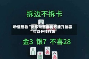 秒懂经验“微乐陕西麻将万能开挂器”可以开挂作弊