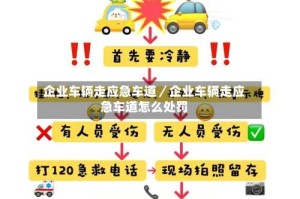 企业车辆走应急车道／企业车辆走应急车道怎么处罚