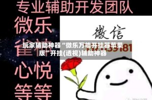 玩家辅助神器“微乐万能开挂器苹果版”开挂(透视)辅助神器