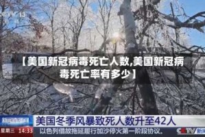 【美国新冠病毒死亡人数,美国新冠病毒死亡率有多少】
