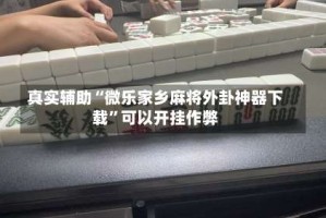 真实辅助“微乐家乡麻将外卦神器下载”可以开挂作弊