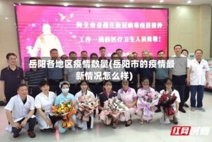 岳阳各地区疫情数量(岳阳市的疫情最新情况怎么样)