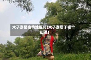 太子湖是疫情地区吗(太子湖属于哪个街道)