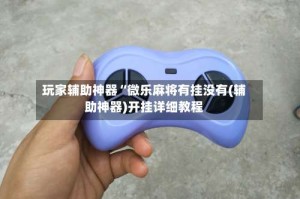 玩家辅助神器“微乐麻将有挂没有(辅助神器)开挂详细教程