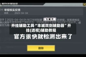 开挂辅助工具“丰城双剑辅助器”开挂(透视)辅助教程