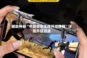 辅助神器“中至吉安王炸开挂神器”详细开挂玩法