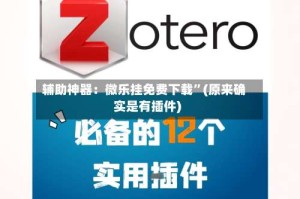 辅助神器：微乐挂免费下载”(原来确实是有插件)