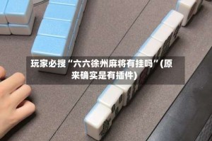 玩家必搜“六六徐州麻将有挂吗”(原来确实是有插件)