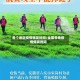 各个地区疫情爆发时间/全国各地疫情爆发时间
