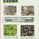怎么给疫情地区捐蔬菜/怎么给疫情地区捐蔬菜给别人