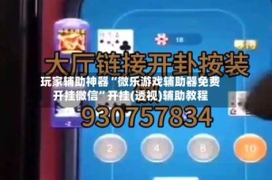 玩家辅助神器“微乐游戏辅助器免费开挂微信”开挂(透视)辅助教程