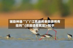 辅助神器“丫丫江西麻将奉新麻将有挂吗”(详细透视教程)-知乎