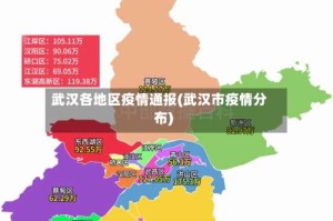 武汉各地区疫情通报(武汉市疫情分布)