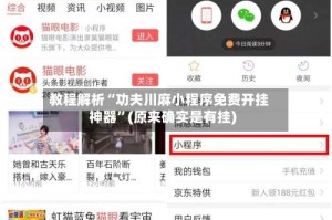 教程解析“功夫川麻小程序免费开挂神器”(原来确实是有挂)