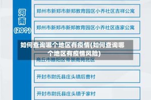 如何查询哪个地区有疫情(如何查询哪个地区有疫情风险)