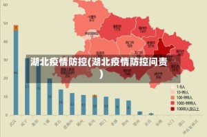 湖北疫情防控(湖北疫情防控问责)