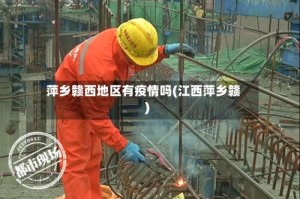 萍乡赣西地区有疫情吗(江西萍乡赣)