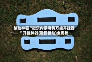 辅助神器“微乐内蒙麻将万能开挂器”开挂神器{透视辅助}全揭秘